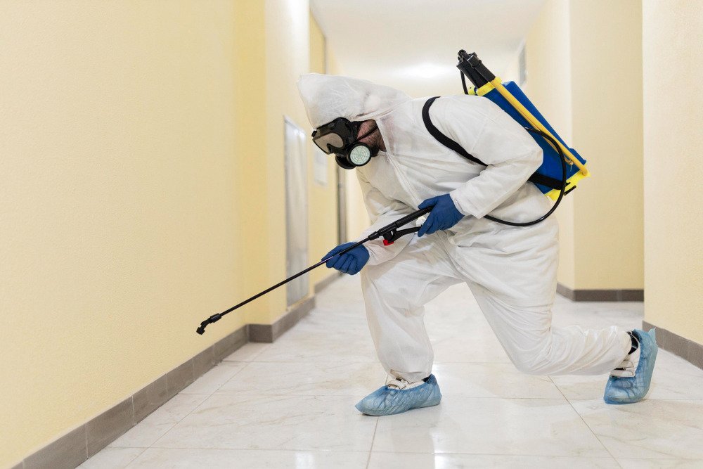 Best Pest Control