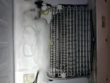 Best Freezer not Enough Cool